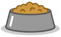 Meals for Shelter Dogs